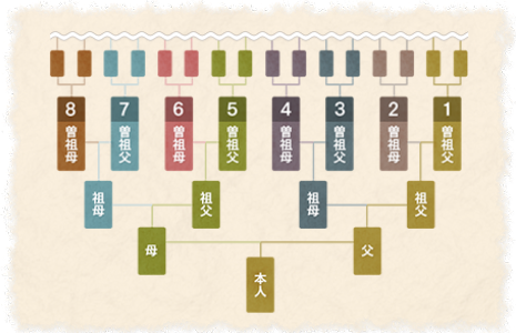 家系図のイメージ